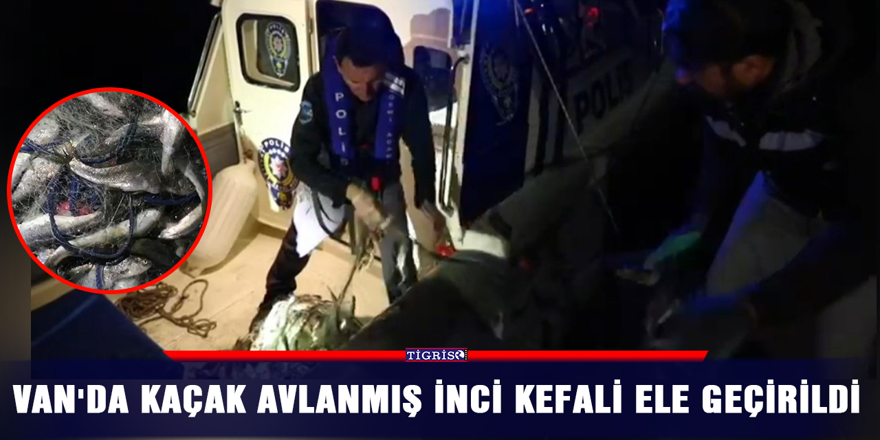 Van'da kaçak avlanmış inci kefali ele geçirildi