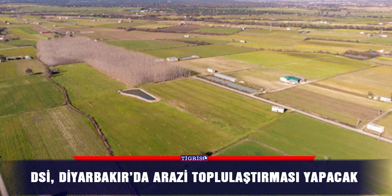 DSİ, Diyarbakır’da arazi toplulaştırması yapacak