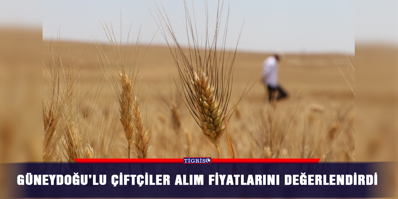 Güneydoğu’lu çiftçiler alım fiyatlarını değerlendirdi