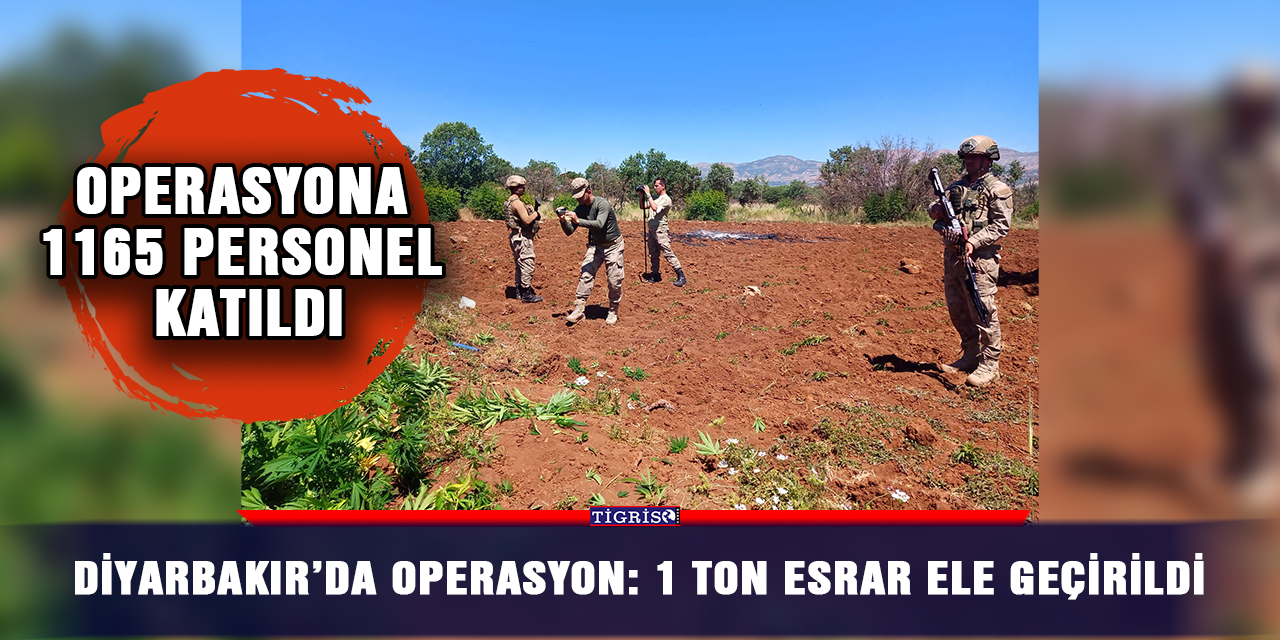 Diyarbakır’da operasyon: 1 ton esrar ele geçirildi