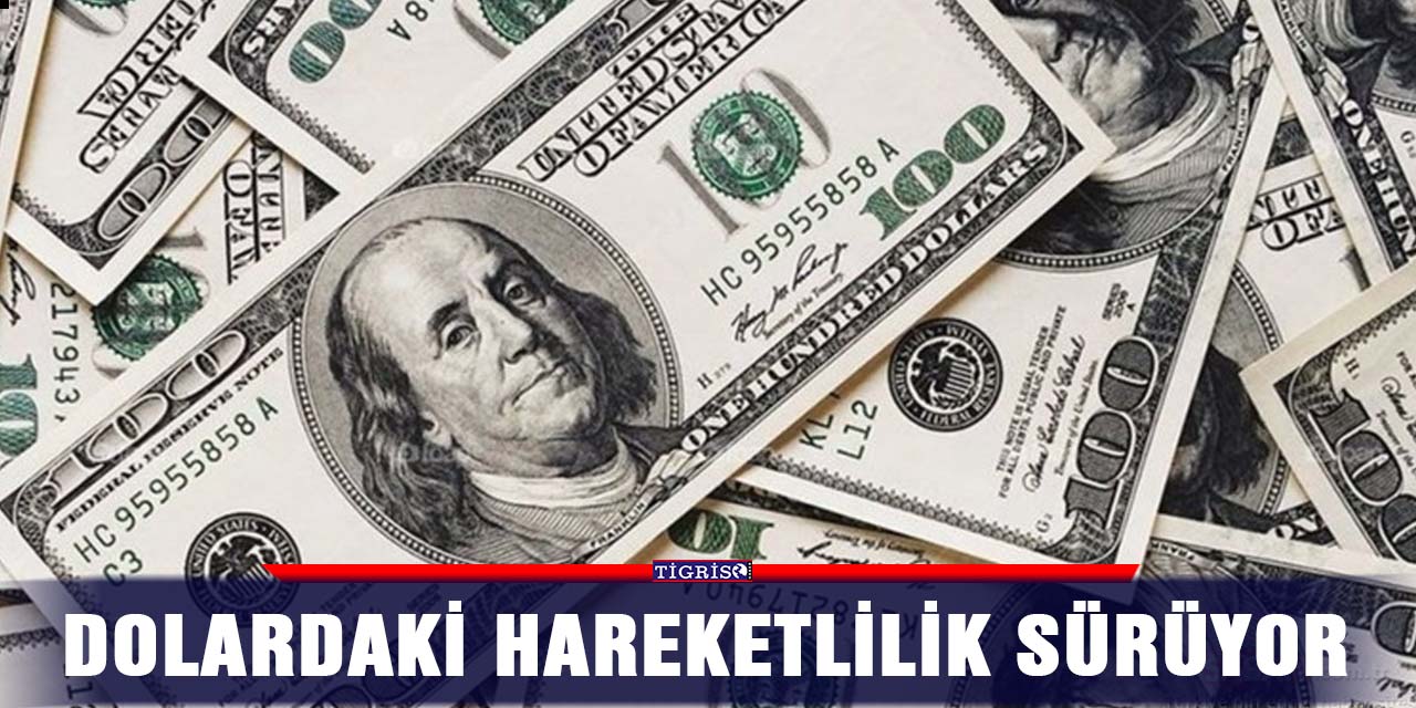 Dolardaki hareketlilik sürüyor