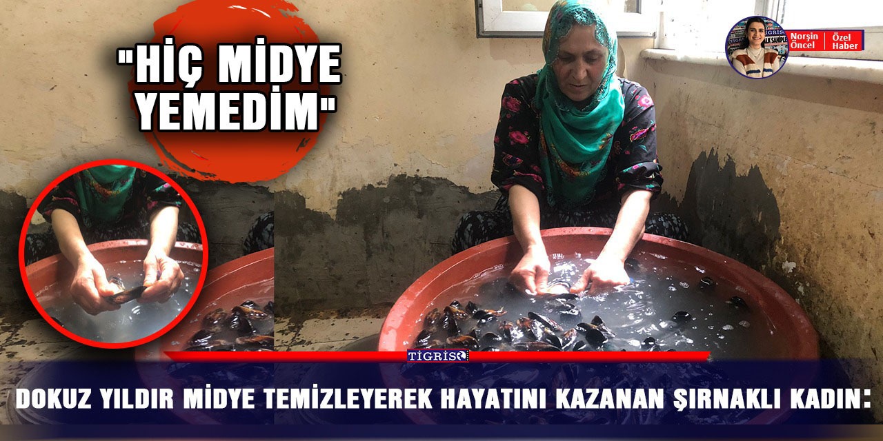 Dokuz yıldır midye temizleyerek hayatını kazanan Şırnaklı kadın: "Hiç midye yemedim"