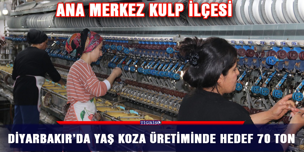 Diyarbakır’da yaş koza üretiminde hedef 70 ton