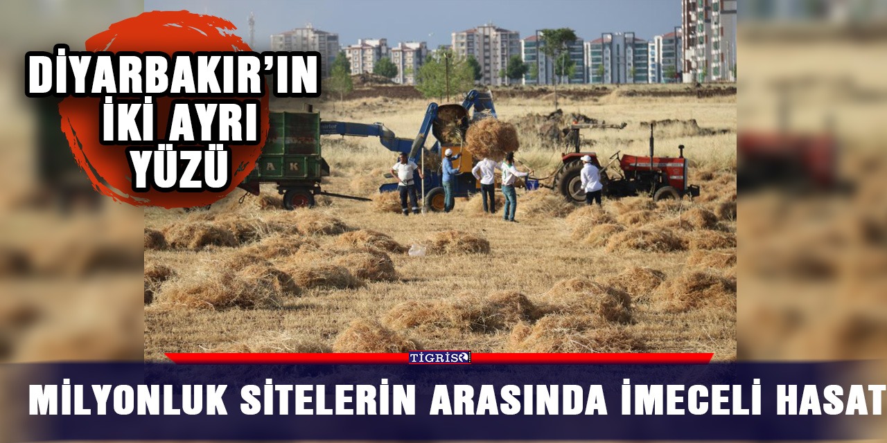 Diyarbakır’ın iki ayrı yüzü: Milyonluk sitelerin arasında imeceli hasat