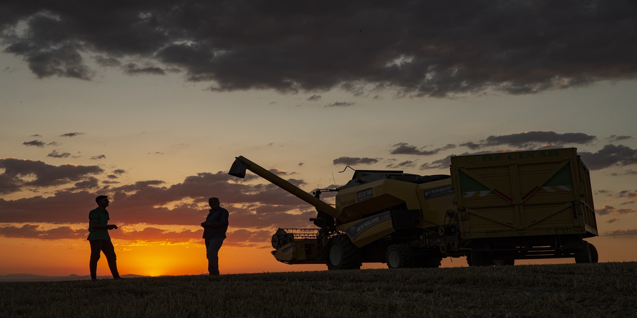 Diyarbakır’da gün batımında arpa hasadı