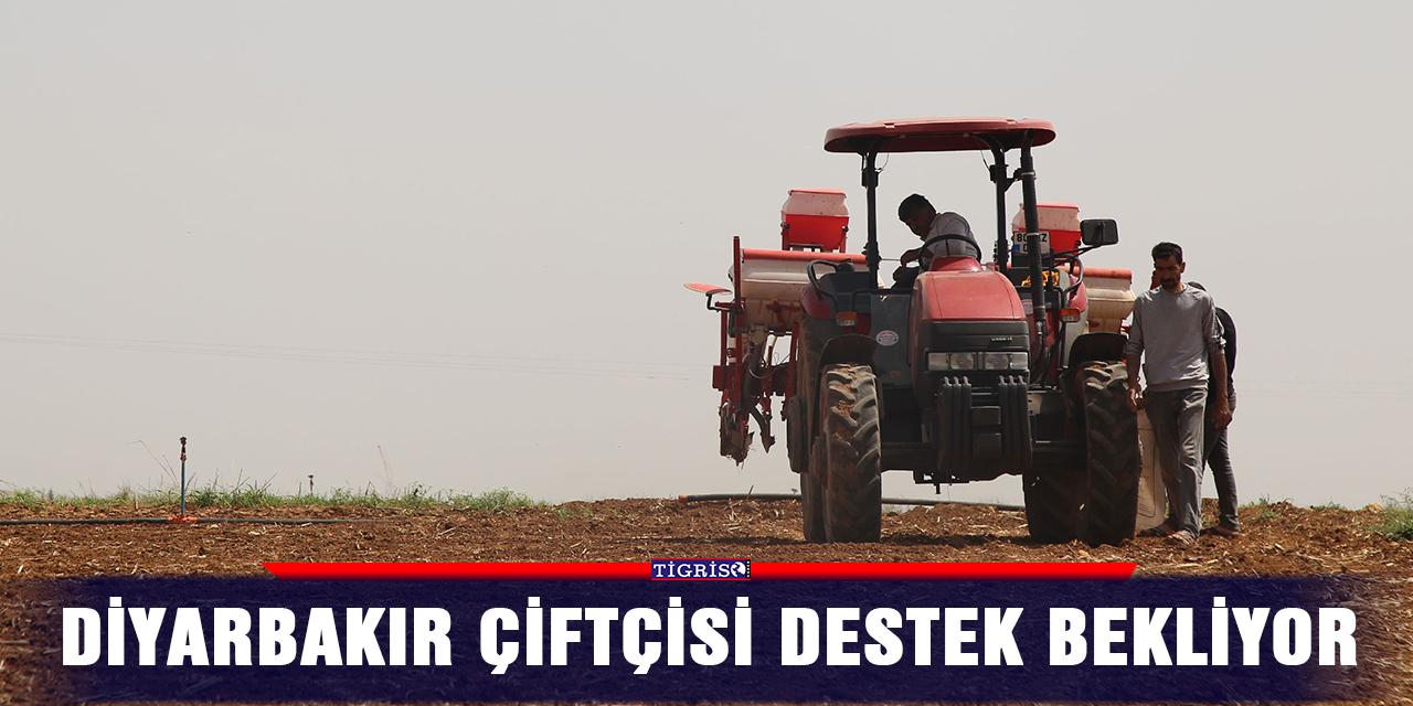 Diyarbakır çiftçisi destek bekliyor