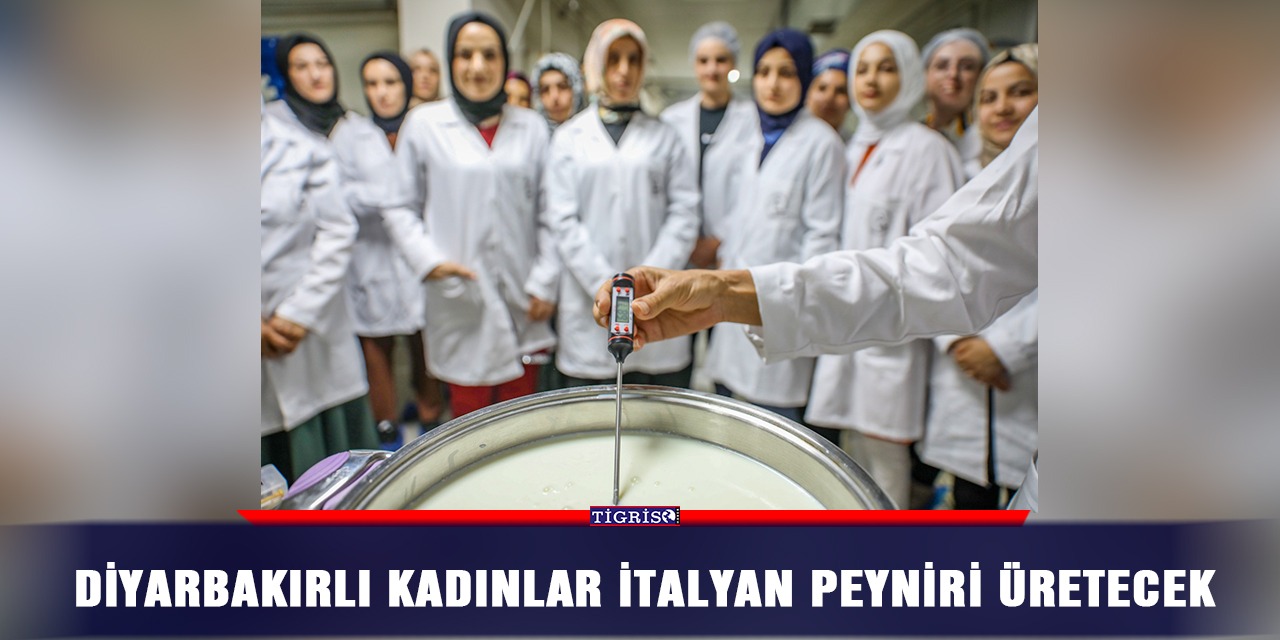 Diyarbakırlı kadınlar İtalyan peyniri üretecek
