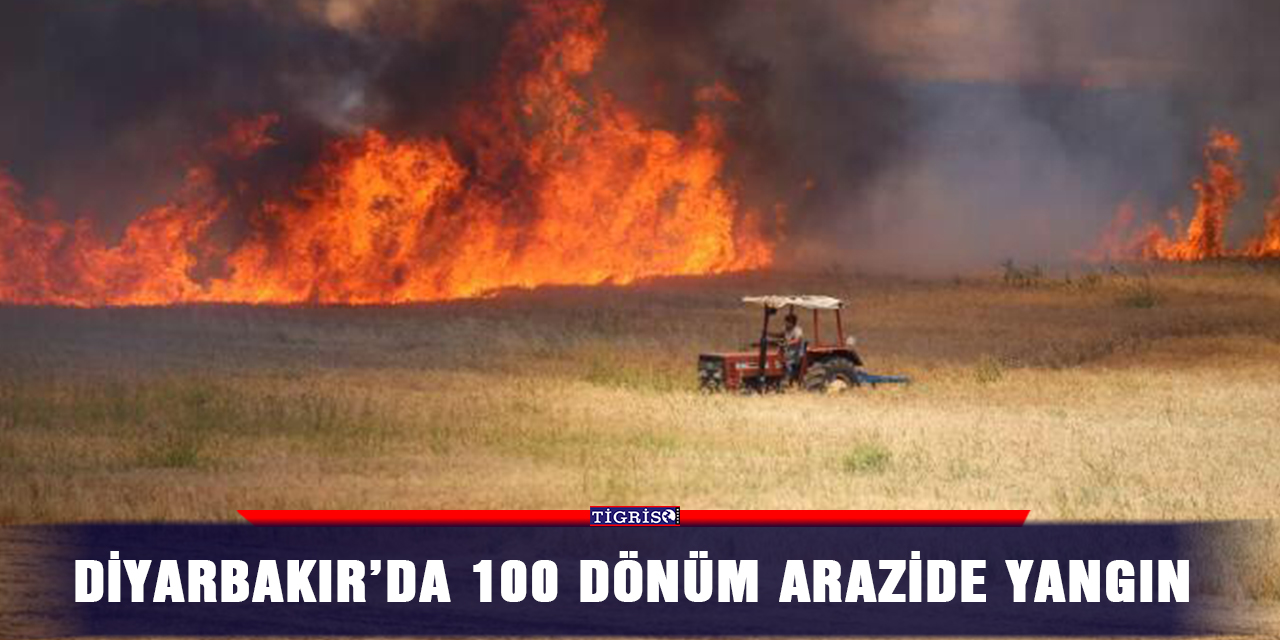 VİDEO - Diyarbakır’da 100 dönüm arazide yangın