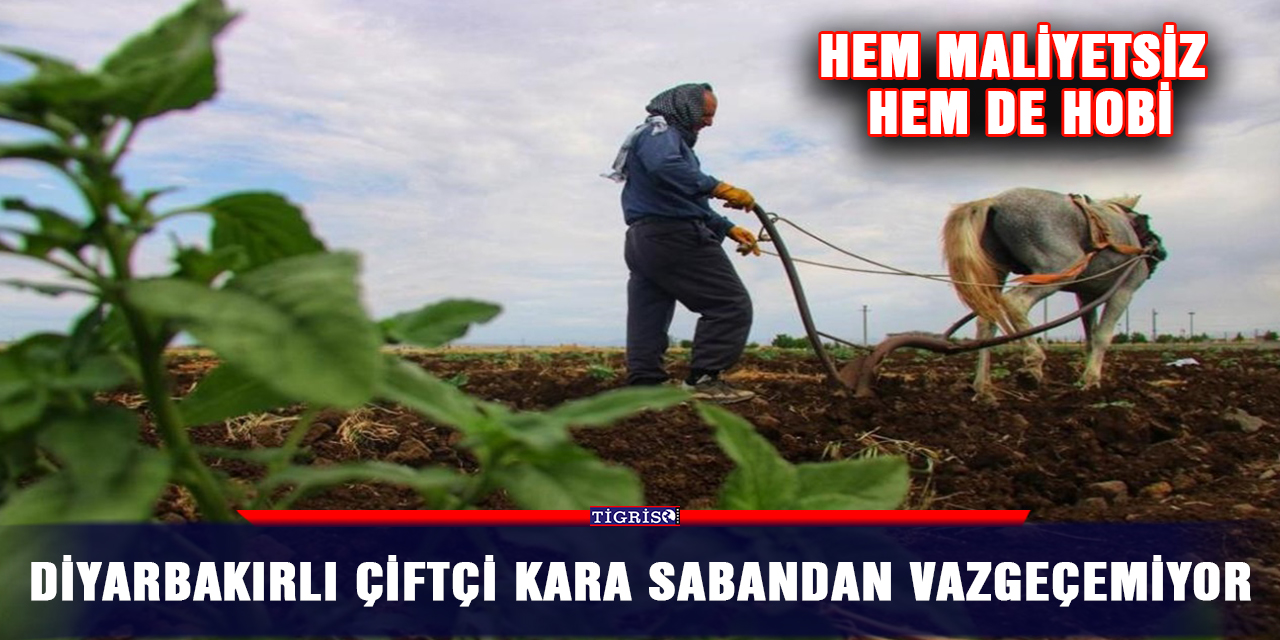 Diyarbakırlı çiftçi kara sabandan vazgeçemiyor
