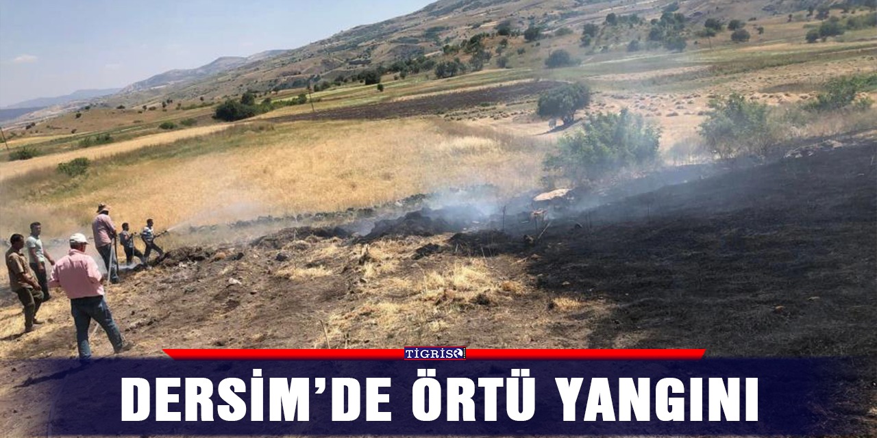 Dersim’de örtü yangını