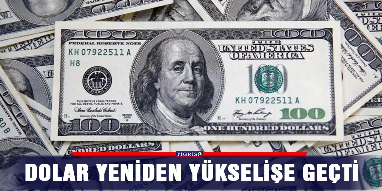 Dolar yeniden yükselişe geçti