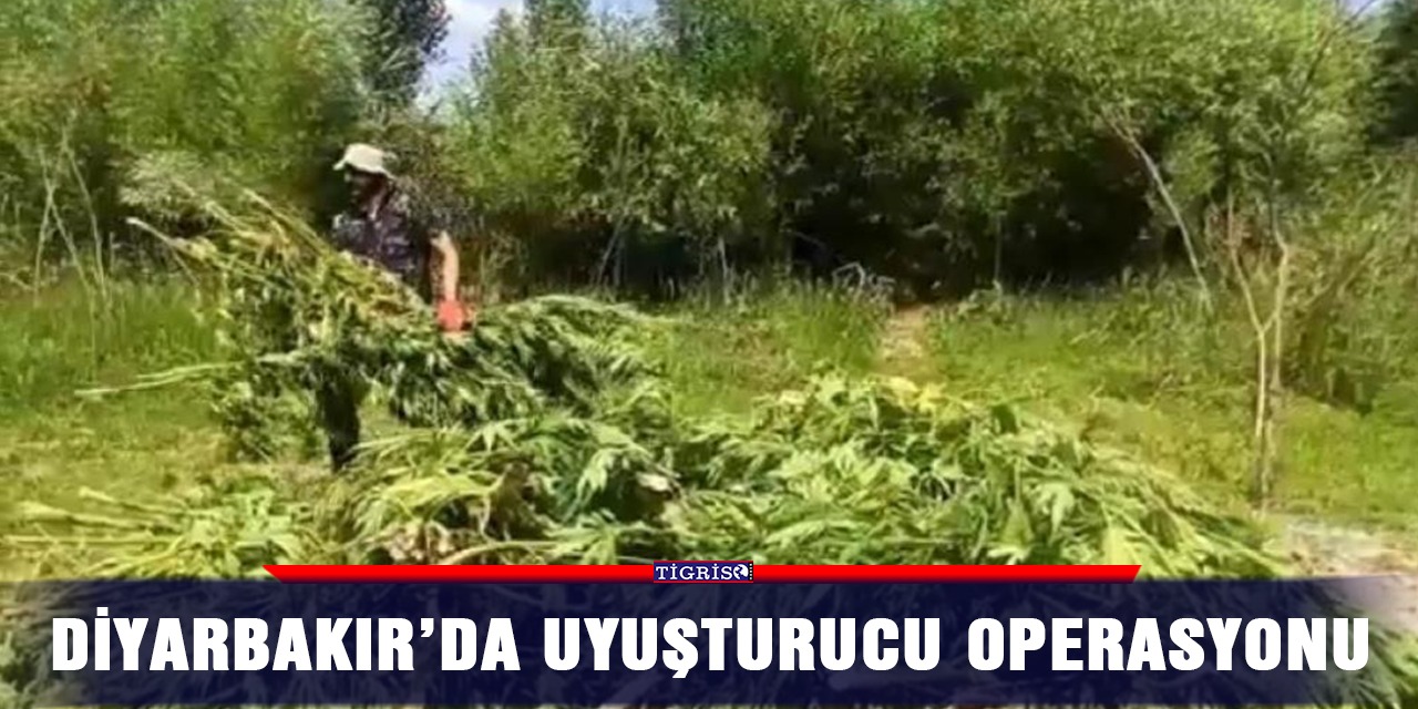 Diyarbakır’da uyuşturucu operasyonu