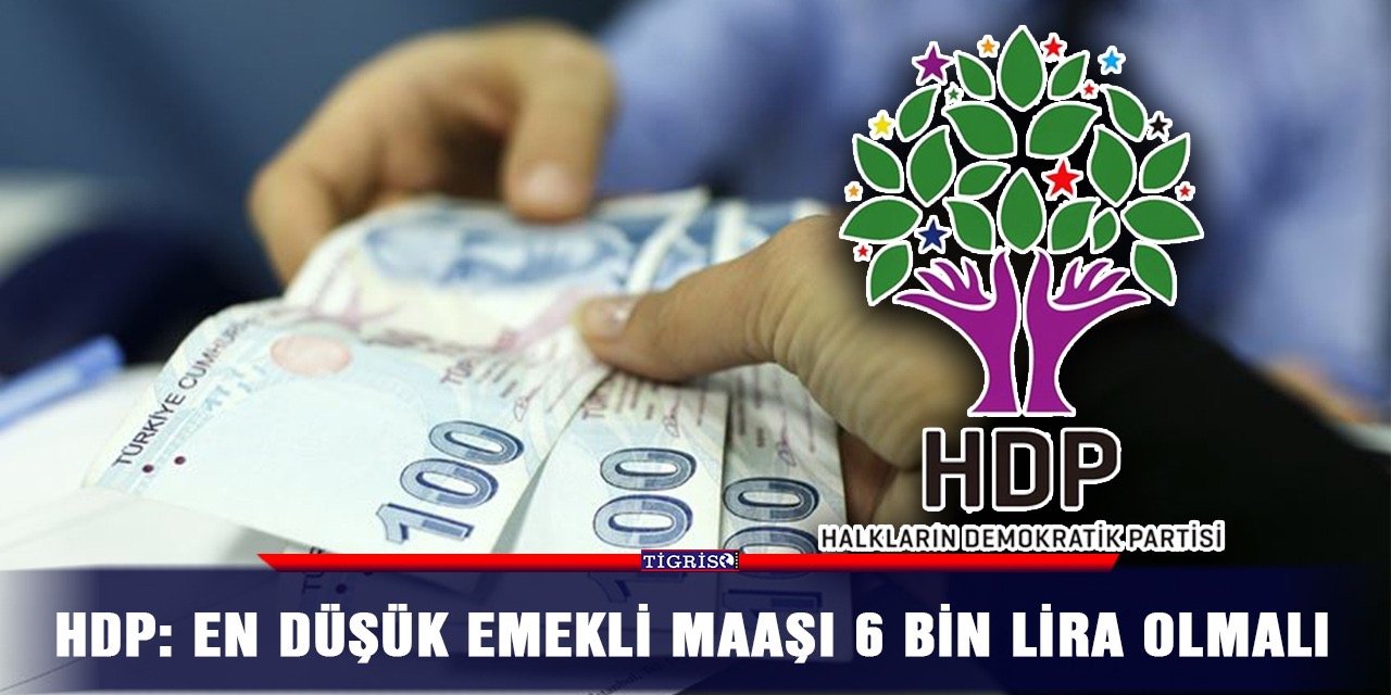 HDP: En düşük emekli maaşı 6 bin lira olmalı