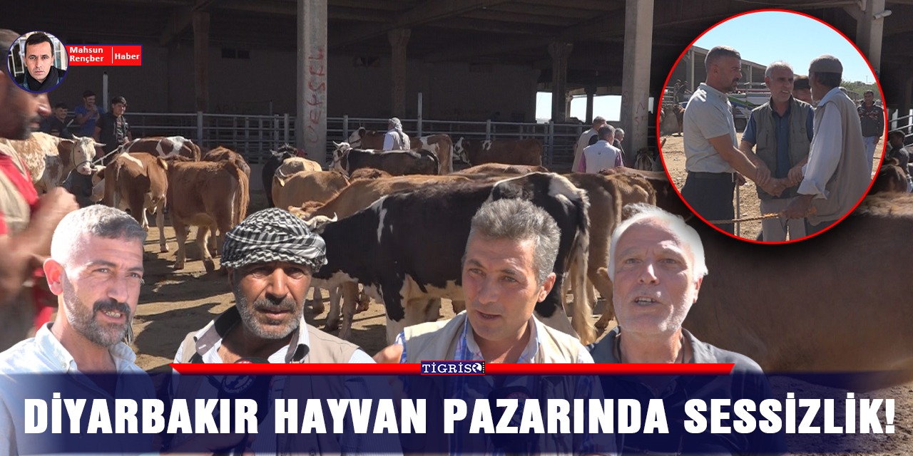 VİDEO - Diyarbakır hayvan pazarında sessizlik!