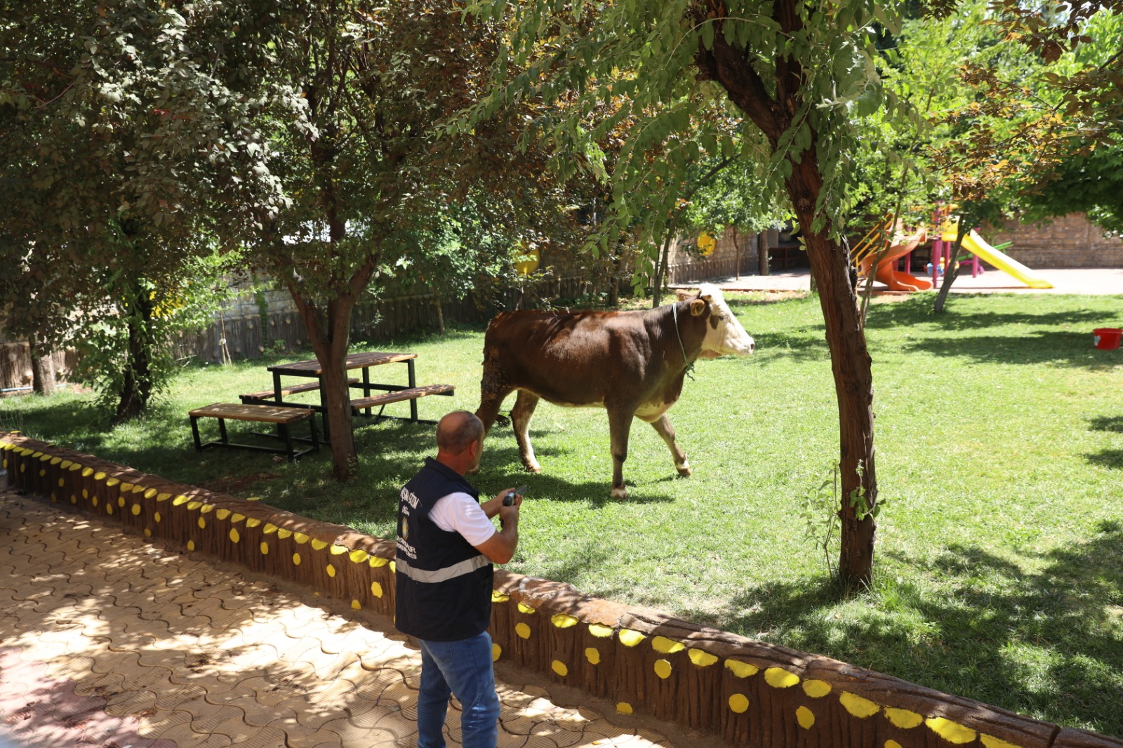 Diyarbakır'da kaçan kurbanlık ortalığı birbirine kattı