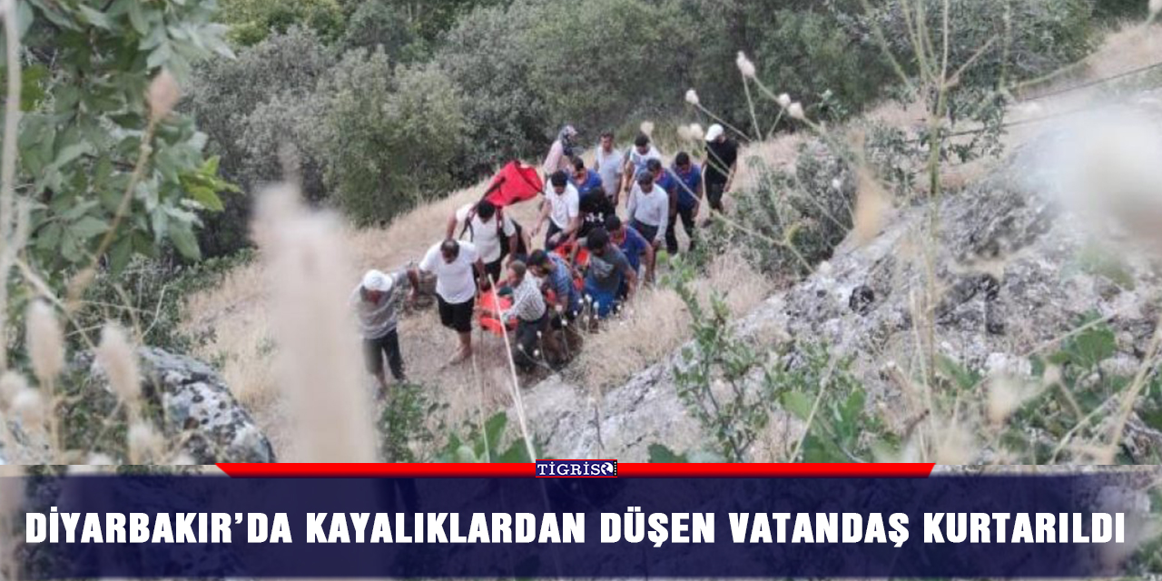 Diyarbakır’da kayalıklardan düşen vatandaş kurtarıldı