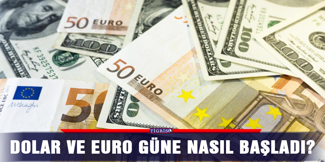 Dolar ve Euro'da son durum