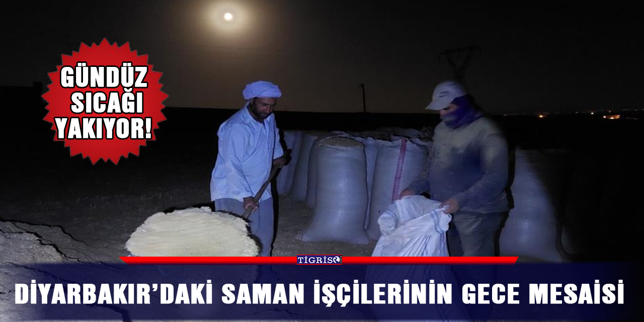 Diyarbakır’daki saman işçilerinin gece mesaisi