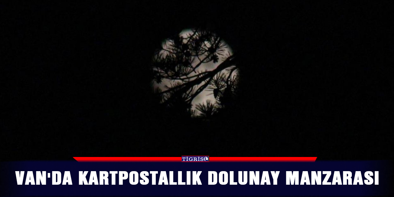 Van'da kartpostallık dolunay manzarası