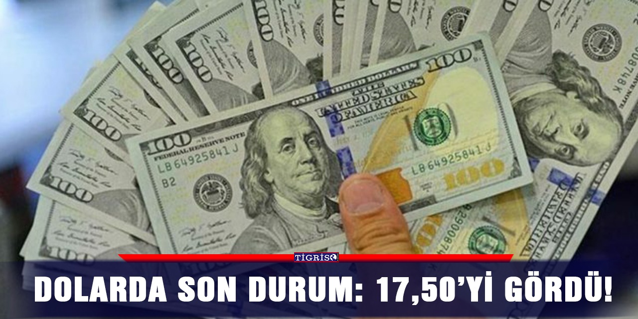 Dolarda son durum: 17,50’yi gördü!