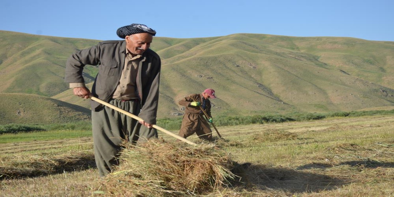 Şırnak’ta besicilerin kış mesaisi erken başladı