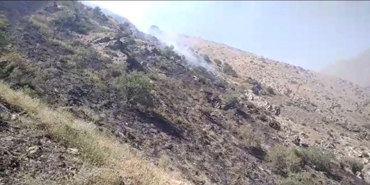 Bahçesaray’da çıkan  örtü yangını kontrol altına alındı