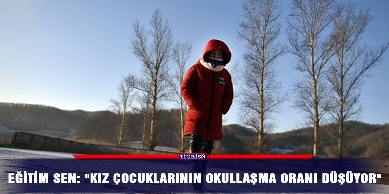 Eğitim Sen: "Kız çocuklarının okullaşma oranı düşüyor"