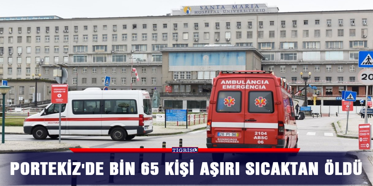 Portekiz'de bin 65 kişi aşırı sıcaktan öldü
