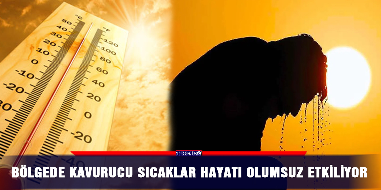 Bölgede kavurucu sıcaklar hayatı olumsuz etkiliyor