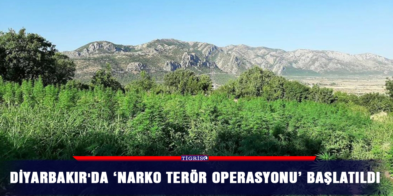 Diyarbakır'da ‘narko terör operasyonu’ başlatıldı
