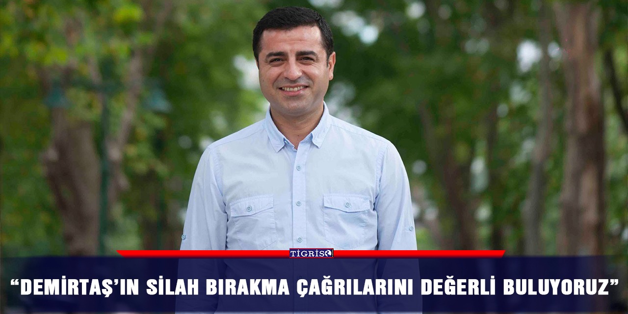 “Demirtaş’ın silah bırakma çağrılarını değerli buluyoruz”