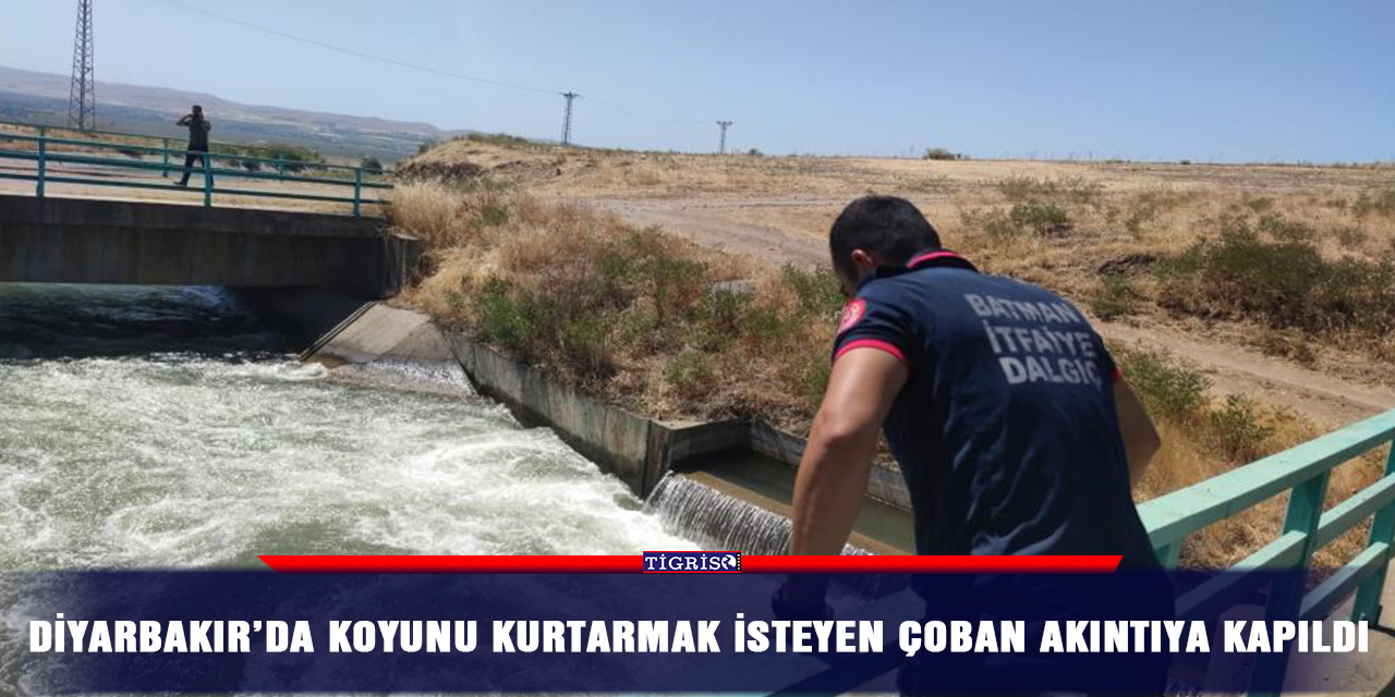 Diyarbakır’da koyunu kurtarmak isteyen çoban akıntıya kapıldı