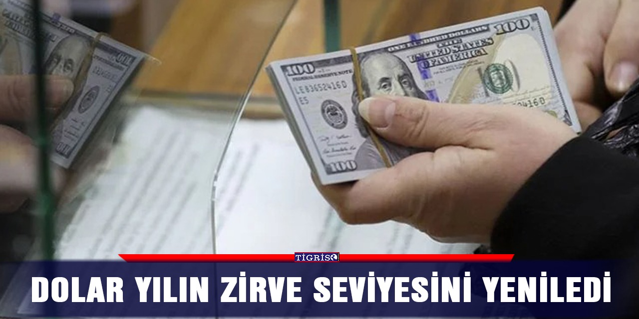 Dolar yılın zirve seviyesini yeniledi
