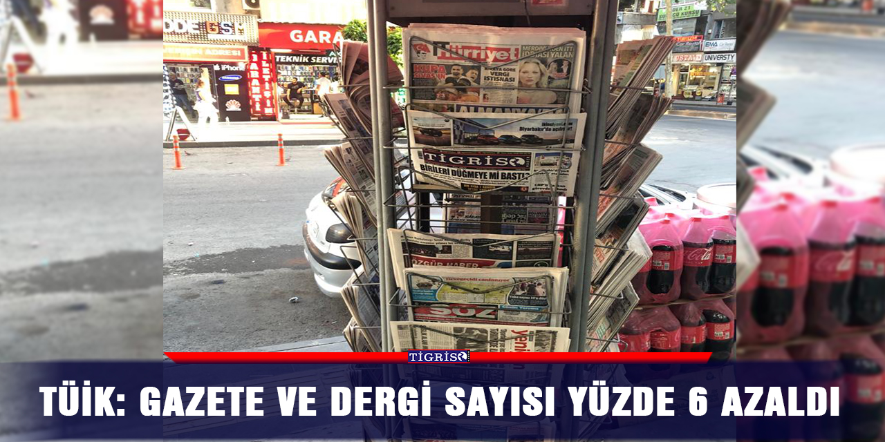 TÜİK: Gazete ve dergi sayısı yüzde 6 azaldı