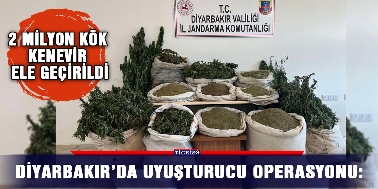 Diyarbakır’da uyuşturucu operasyonu