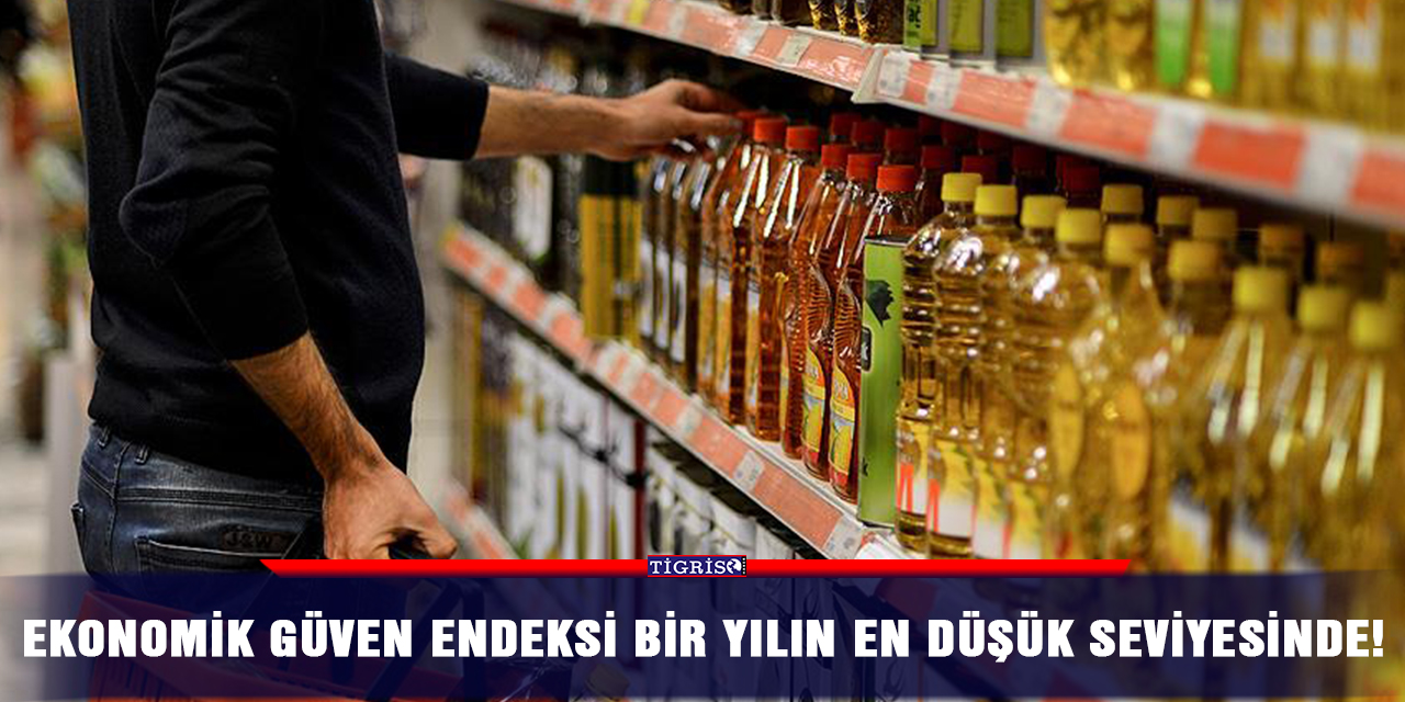 Ekonomik güven endeksi bir yılın en düşük seviyesinde!