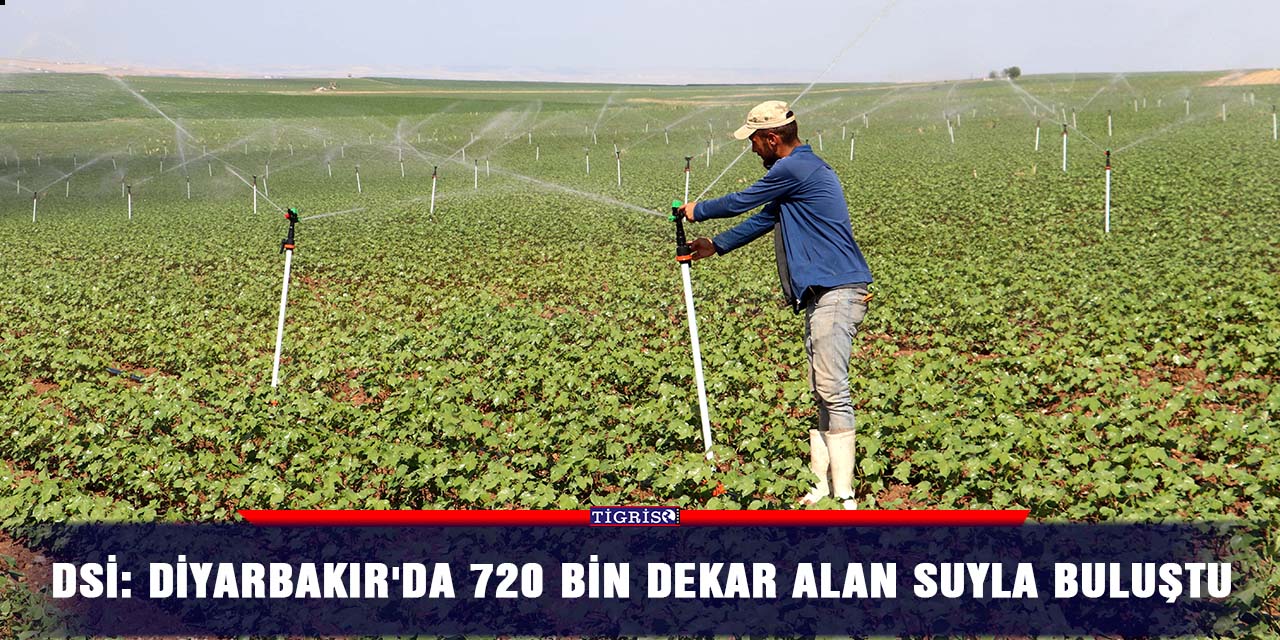 DSİ: Diyarbakır'da 720 bin dekar alan suyla buluştu