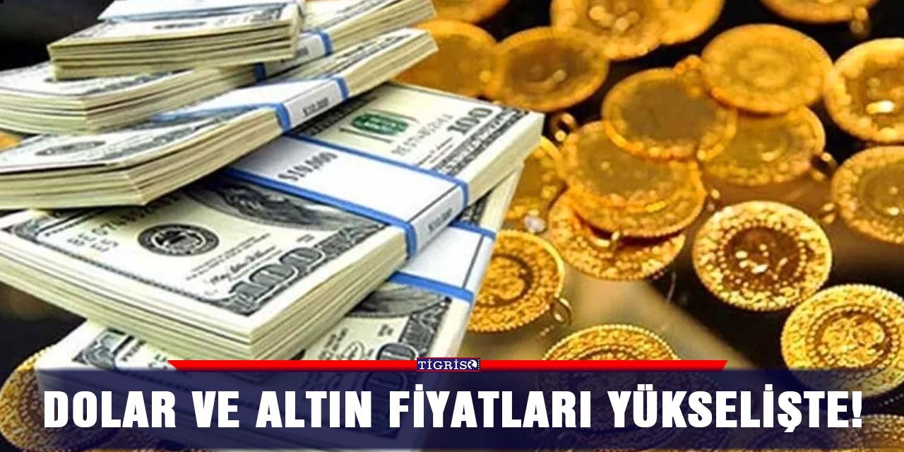 Dolar ve altın fiyatları yükselişte!