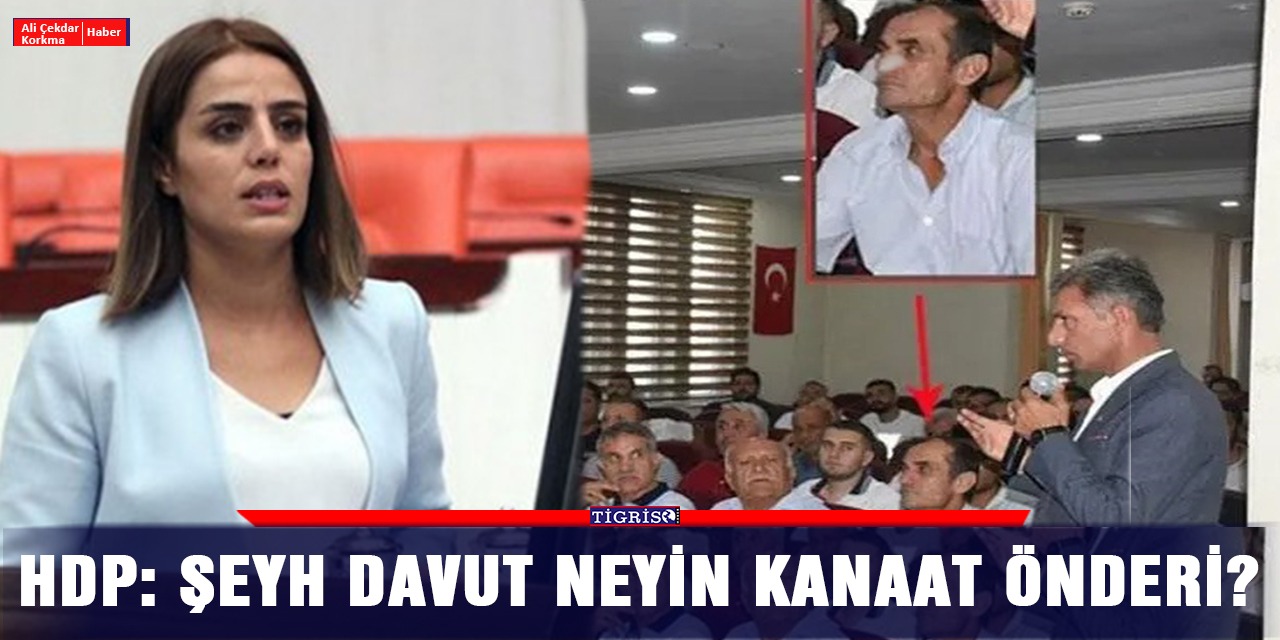 HDP: Şeyh Davut neyin kanaat önderi?
