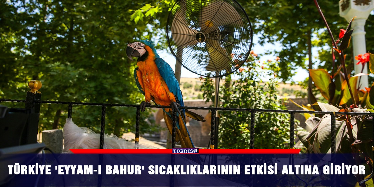 Türkiye 'eyyam-ı bahur' sıcaklıklarının etkisi altına giriyor