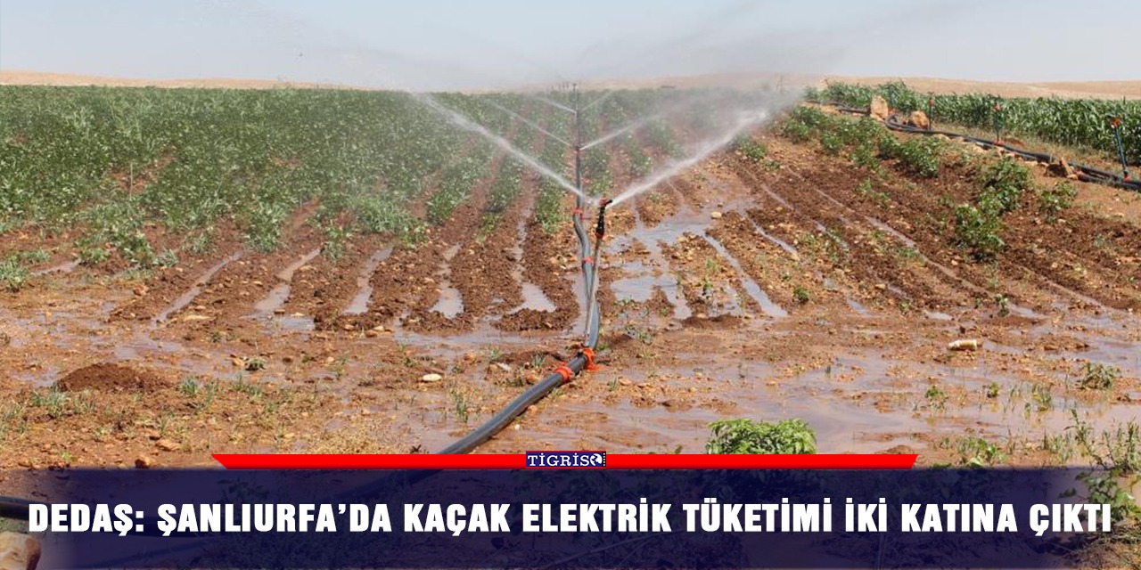 DEDAŞ: Şanlıurfa’da kaçak elektrik tüketimi iki katına çıktı