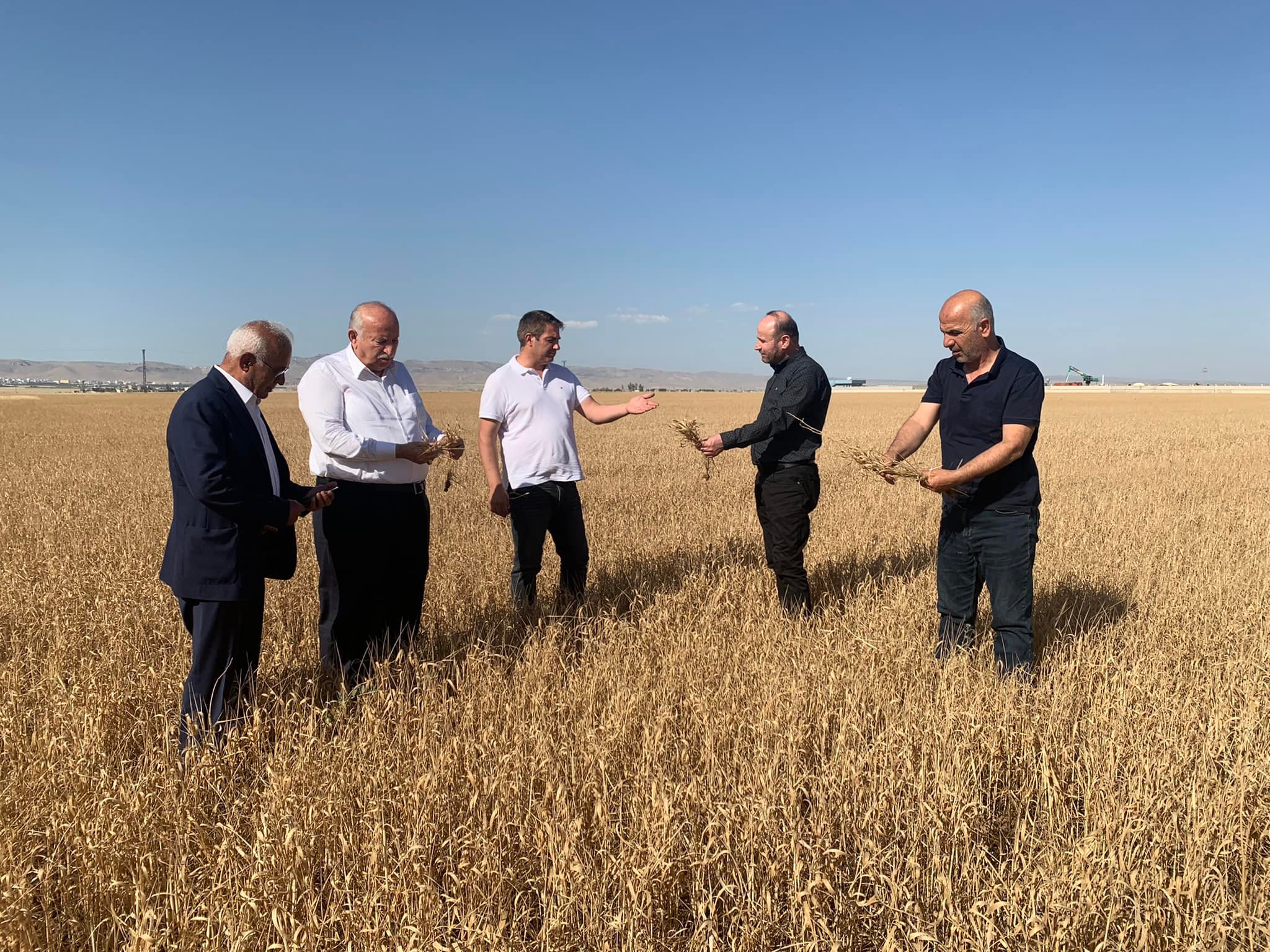 Diyarbakır’dan Bakan Kirişçi’ye çağrı: Çiftçinin gözü kuraklık desteğinde