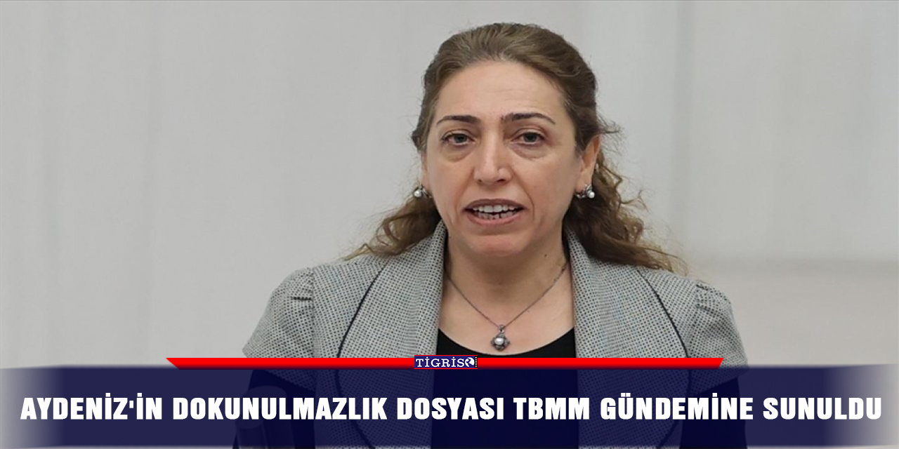 Aydeniz'in dokunulmazlık dosyası TBMM gündemine sunuldu