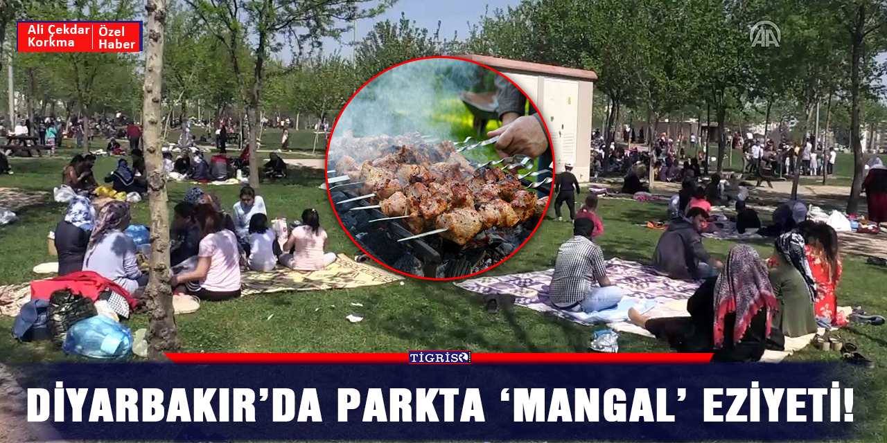 Diyarbakır’da parkta ‘mangal’ eziyeti!