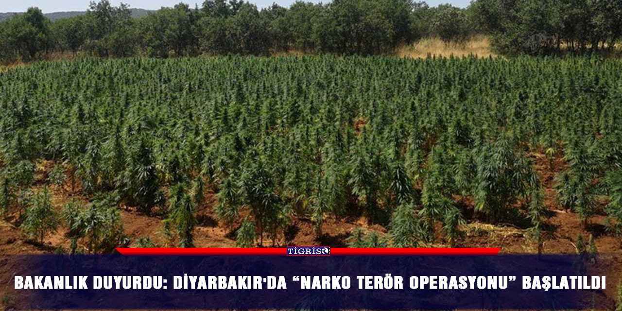 Bakanlık duyurdu: Diyarbakır'da “Narko Terör Operasyonu” başlatıldı