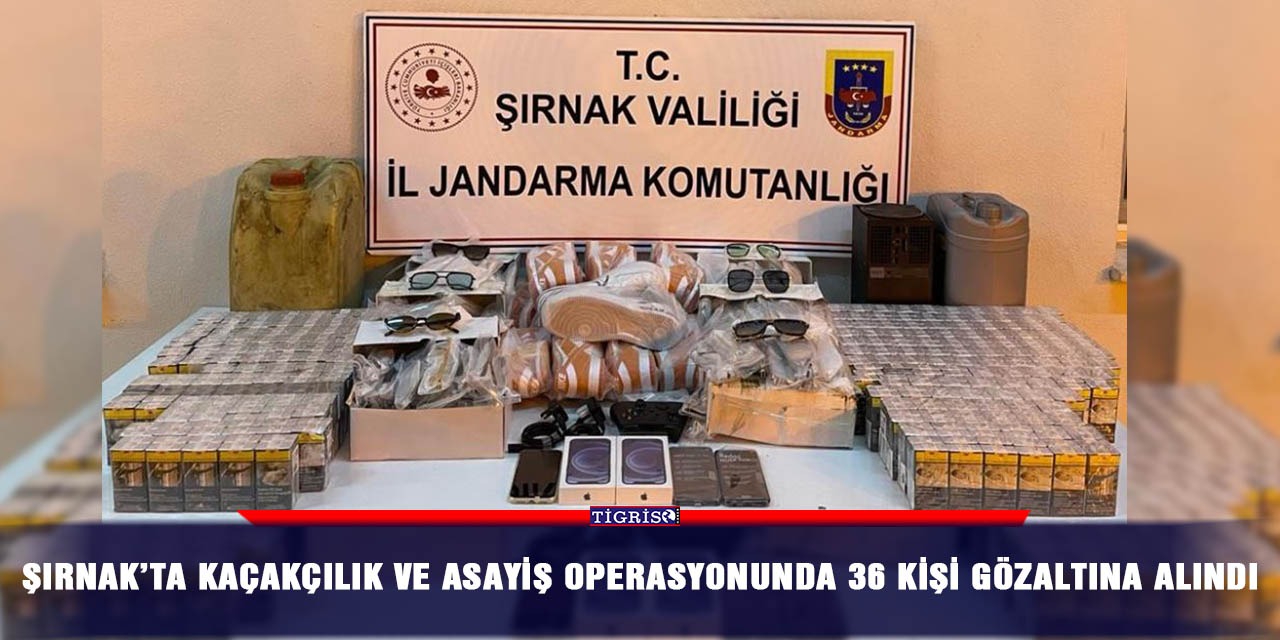 Şırnak’ta kaçakçılık ve asayiş operasyonunda 36 kişi gözaltına alındı