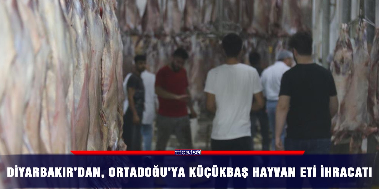 Diyarbakır’dan, Ortadoğu’ya küçükbaş hayvan eti ihracatı