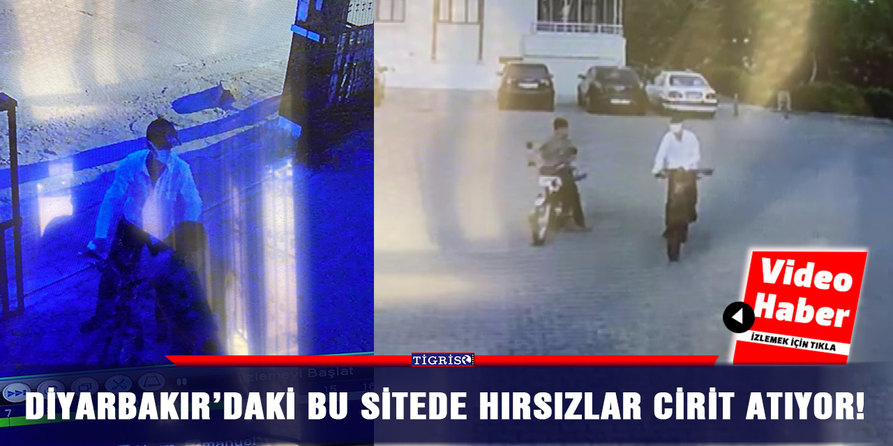 VİDEO - Diyarbakır’daki bu sitede hırsızlar cirit atıyor!