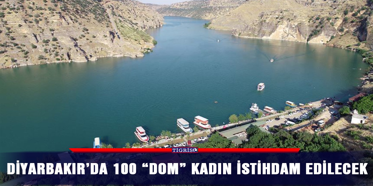 Diyarbakır’da 100 'Dom' kadın istihdam edilecek