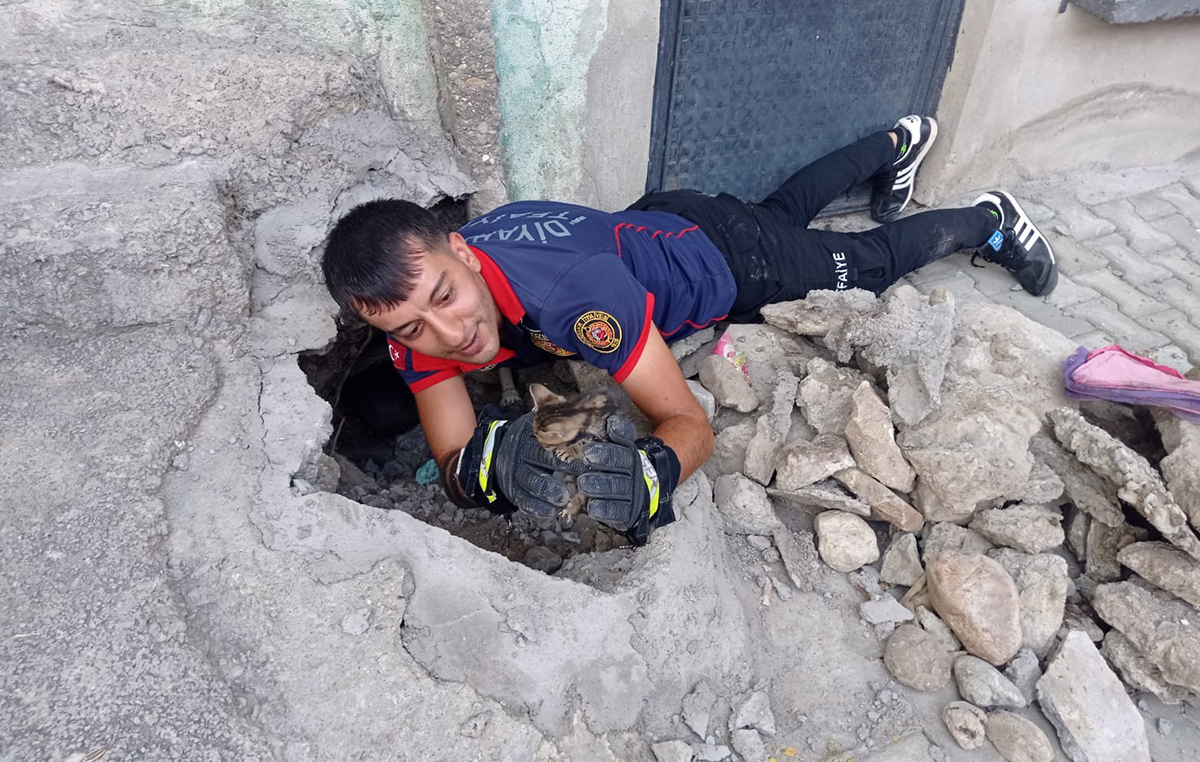 Diyarbakır’da itfaiye ekipleri çukura düşen kedi için seferber oldu